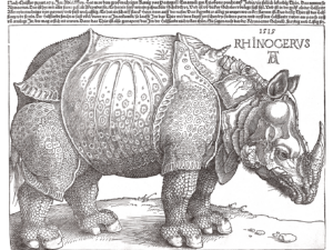 Pôster Rhinoceros, 1515 - Albrecht Dürer