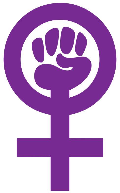Pôster Feminista