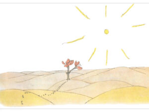 Pôster Atravessou o Deserto e Encontrou Apenas Uma Flor - O Pequeno Príncipe - Antoine de Saint-Exupéry