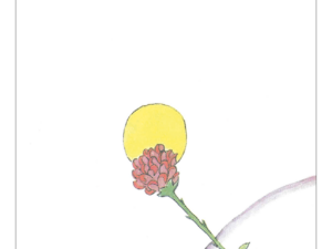 Pôster Conheço Uma Flor Única no Mundo, Que Só Existe no Meu Planeta - O Pequeno Príncipe - Antoine de Saint-Exupéry