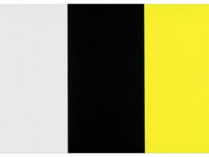 Pôster Vermelho Amarelo Azul Branco e Preto de Ellsworth Kelly