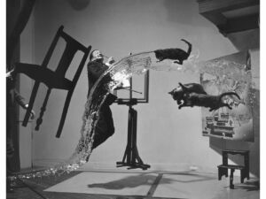 Pôster da Obra de Arte Dali Atomicus de Philippe Halsman